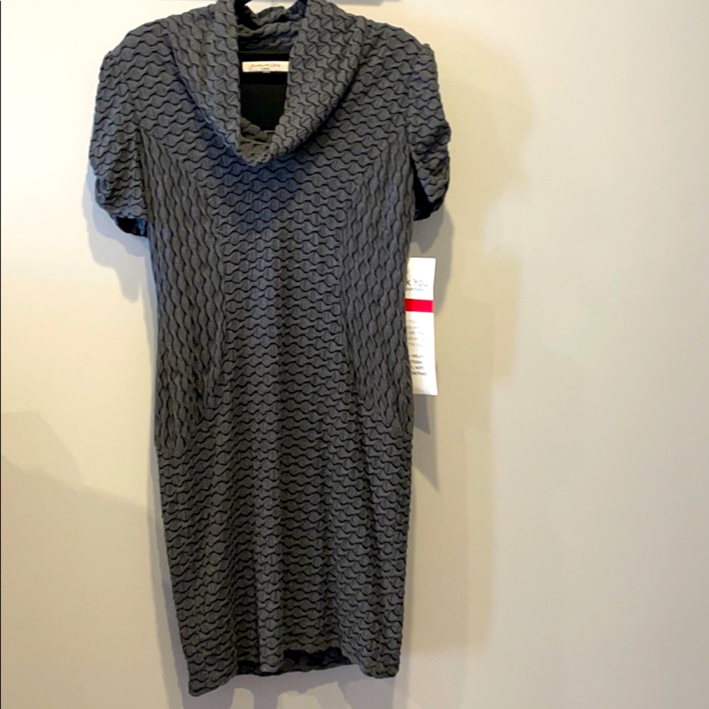 NWT SZ 14 Evan Picone dress